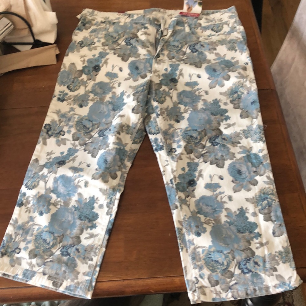 Floral Capris. Probably a Size 10 in normal US sizing.